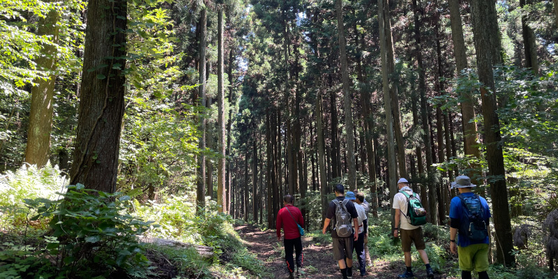 林山地のこと