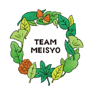 TEAM MEISYO