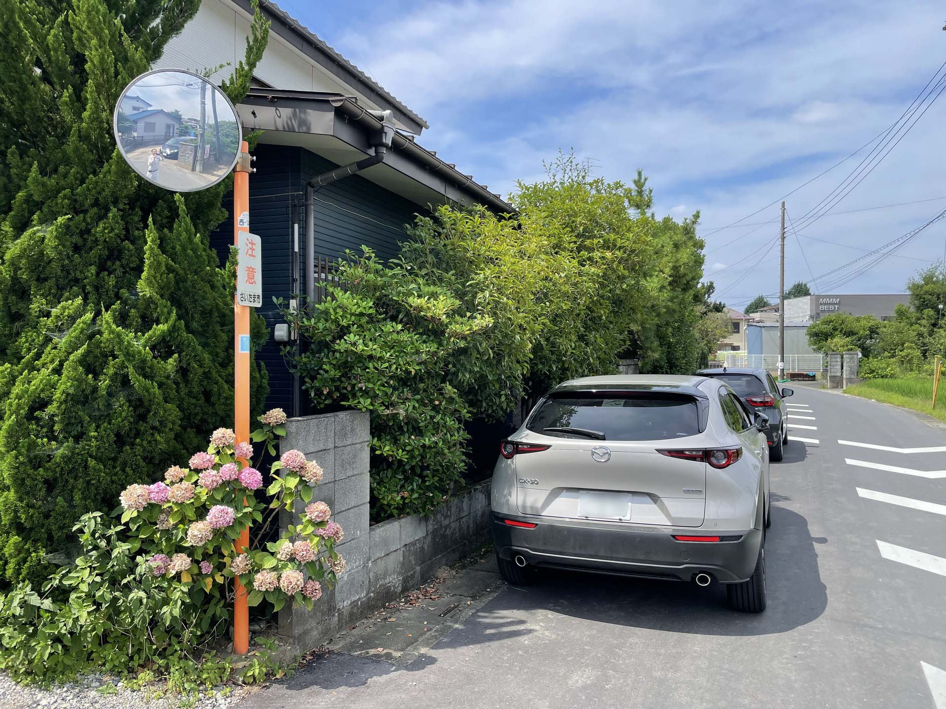 飯田新田の家 庭木の剪定作業