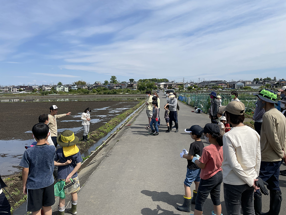 畦塗り くろ付け