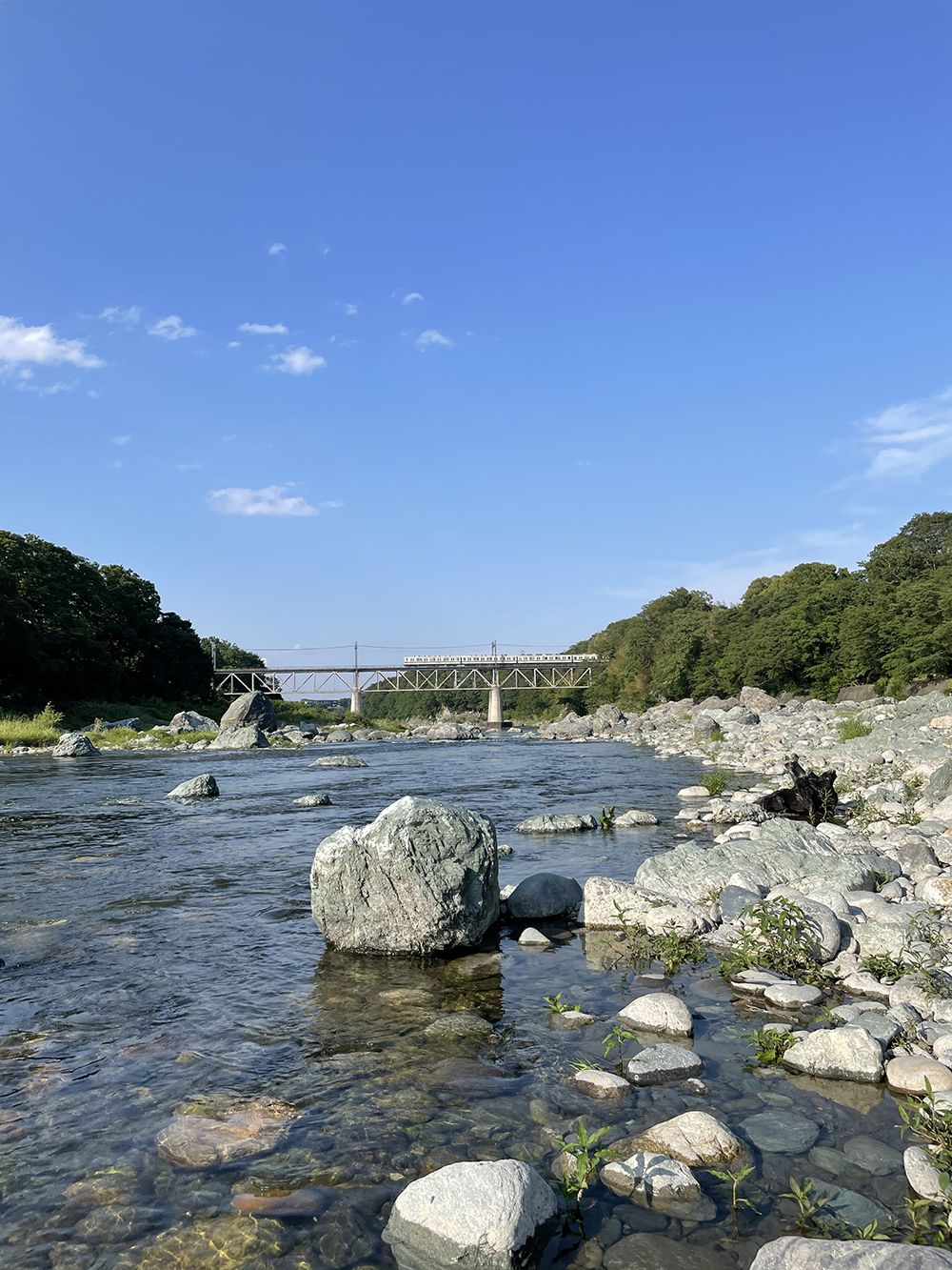 こんなに綺麗なところなのに