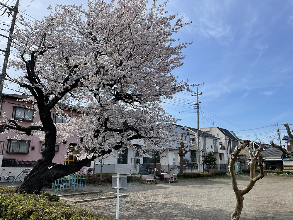 さいたま市本町東の家 1年点検