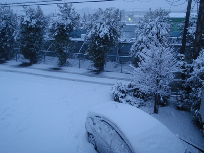 今日は早く帰ります！