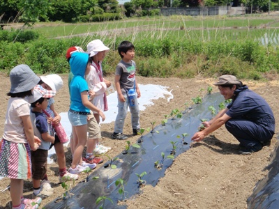 農と食と工作のWORKSHOP！